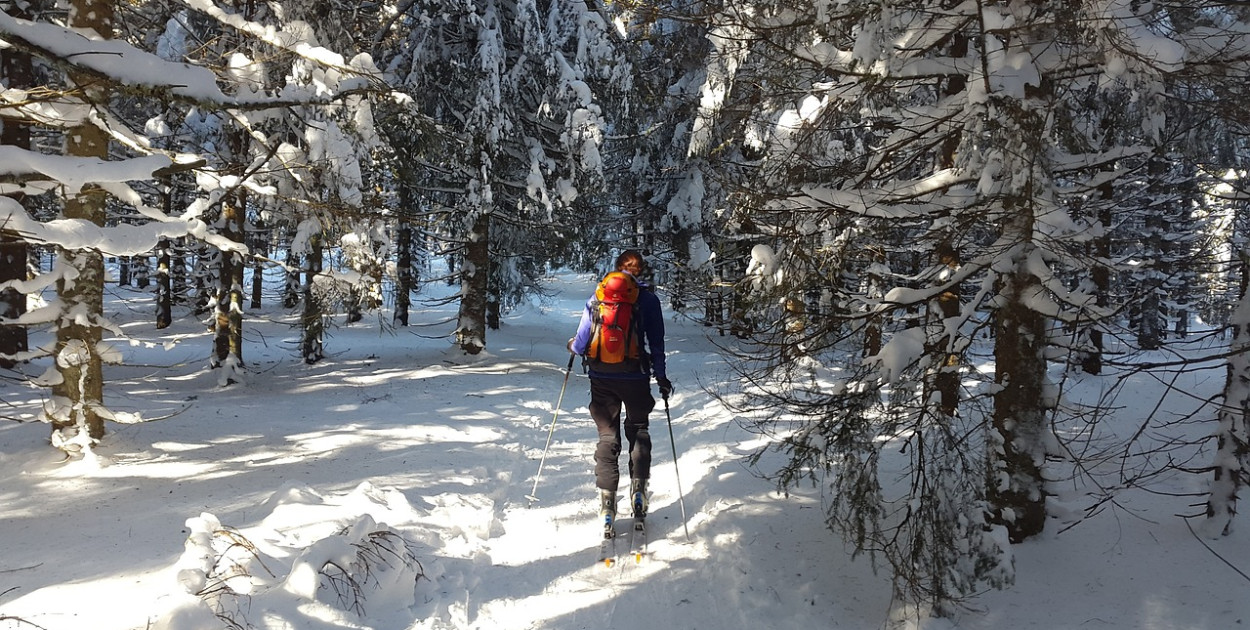 Zdjęcie ilustracyjne. Fot. pixabay.com/pl/