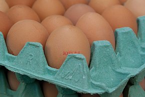 Salmonella na jajach znanej marki. Nie jedz, jeśli masz je w lodówce!-5162