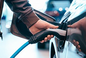 Coraz częściej dochodzi do takich kradzieży. Powody zaskakują-6353