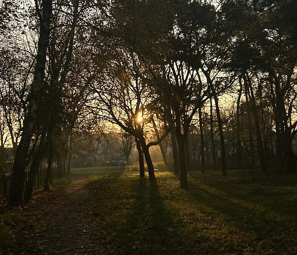 Nadchodzi najkrótszy dzień w 2025 roku. Sprawdź, kiedy przypadnie-6247